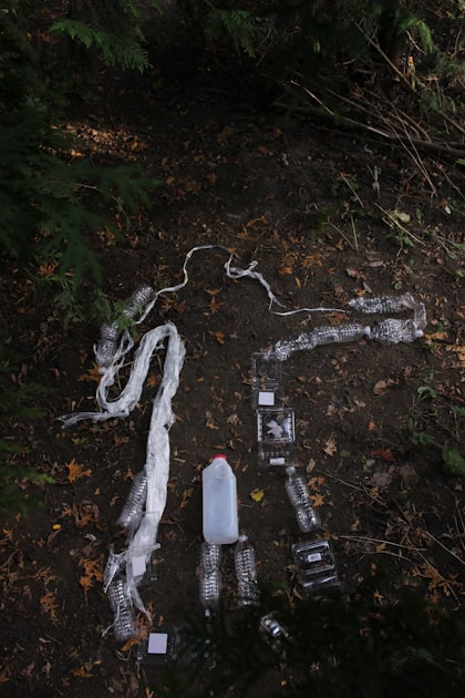 The Future of Plastic Materials